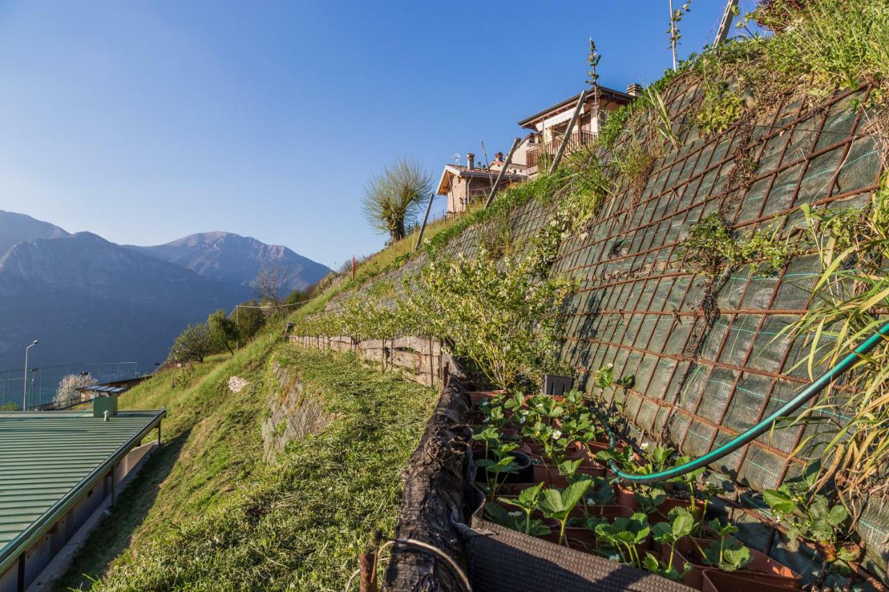 Agriturismo Alveare Sul Lago Pisogne Dış mekan fotoğraf