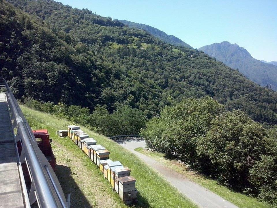 Agriturismo Alveare Sul Lago Pisogne Dış mekan fotoğraf